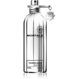 Montale Fougeres Marine Eau de Parfum unisex 100 ml kép