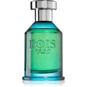 Bois 1920 Verde di Mare Eau de Parfum unisex 100 ml kép