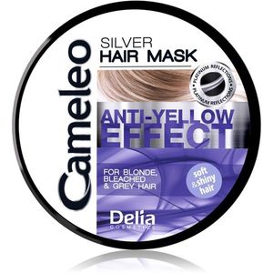 Delia Cosmetics Cameleo Silver haj maszk semlegesíti a sárgás tónusokat 200 ml kép
