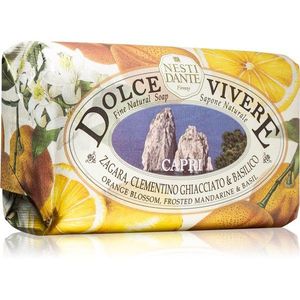 Nesti Dante Dolce Vivere Capri természetes szappan 250 g kép