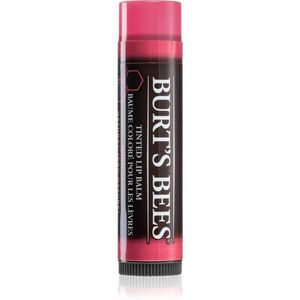 Burt’s Bees Tinted Lip Balm ajakbalzsam árnyalat Hibiscus 4.25 g kép