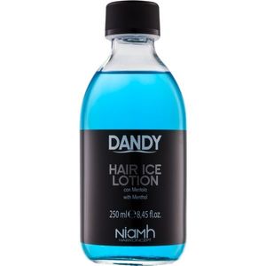 DANDY Hair Lotion hajkúra mentol 250 ml kép