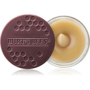 Burt’s Bees Lip Scrub szájpeeling tápláló hatással 7.08 g kép