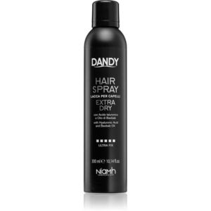 DANDY Hair Spray 300 ml kép