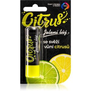 Regina Citrus ajakbalzsam citrus 4.5 g kép