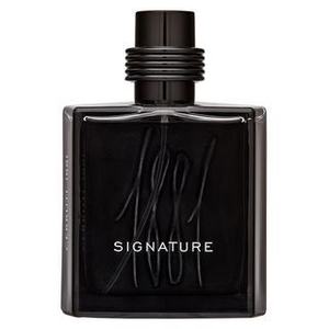 Cerruti 1881 Signature Eau de Parfum férfiaknak 100 ml kép