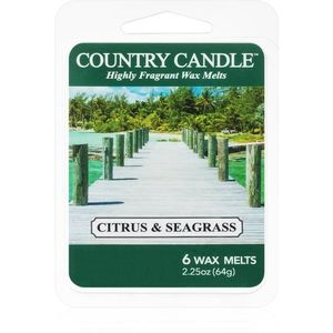 Country Candle Citrus & Seagrass illatos viasz aromalámpába 64 g kép