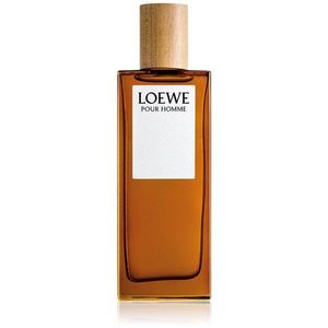 Loewe Loewe Pour Homme Eau de Toilette uraknak 50 ml kép