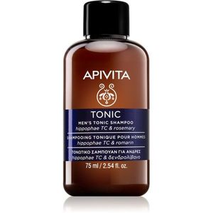 Apivita Men's Care HippophaeTC & Rosemary hajhullás elleni sampon 75 ml kép
