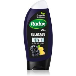 Radox Men Feel Wild tusfürdő gél arcra, testre és hajra uraknak Blackberry & Ginger 225 ml kép