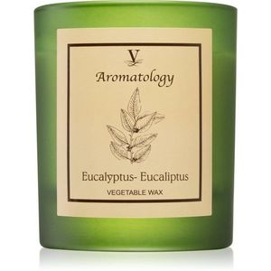 Vila Hermanos Aromatology Eucalyptus illatgyertya 200 g kép