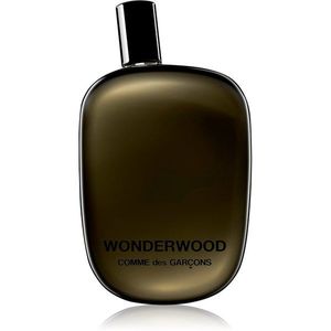 Comme des Garçons Wonderwood Eau de Parfum uraknak 100 ml kép