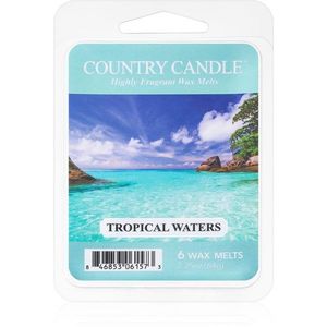 Country Candle Tropical Waters illatos viasz aromalámpába 64 g kép