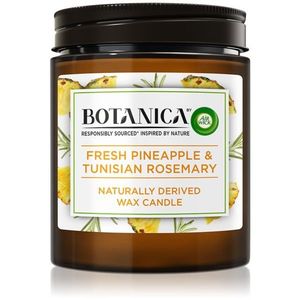 Air Wick Botanica Fresh Pineapple & Tunisian Rosemary illatgyertya 205 g kép