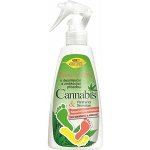 BIONE COSMETICS Cannabis Lábspray fertőtlenítő összetevővel 260 ml kép