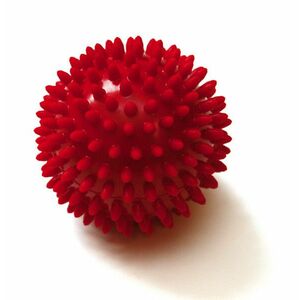 SISSEL® Spiky-Ball tüskés akupresszúrás masszírozólabda Ø 9 cm kép