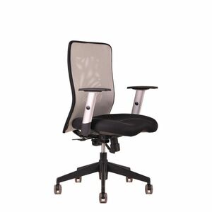 OfficePro Calypso ergonomikus irodai szék Szín: szürke kép