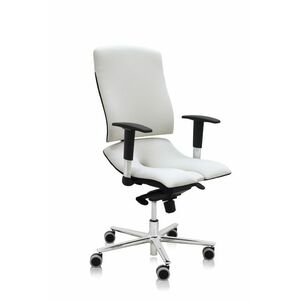 Asana Steel Standard ergonomikus irodai szék Kárpit színe: Atlantic Fehér 60063, Kartámla: kartámlával együtt kép