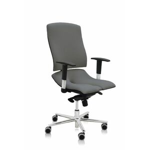 Asana Steel Standard ergonomikus irodai szék Kárpit színe: Atlantic Szürke 60142, Kartámla: kartámlával együtt kép