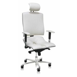 Asana Architect ergonomikus irodai szék Kárpit színe: ECO-bőr Krém 554 kép