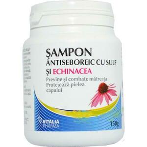 Sampon Kénnel És Echinaceával Vitalia Pharma, 150 g kép