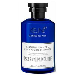 Férfi Sampon 2 in 1 Minden Hajtípusra - Keune Essential Shampoo Distilled for Men, 250 ml kép