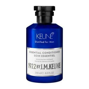 Hajbalzsam 2 in 1 Minden Típusú Hajra - Keune Essential Conditioner Distilled for Men, 250 ml kép