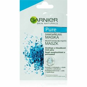 Garnier Pure arcmaszk problémás és pattanásos bőrre 2x6 ml kép
