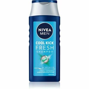 Nivea Men Cool sampon normál és zsíros hajra uraknak 250 ml kép