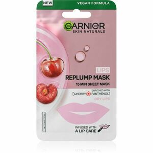 Garnier Skin Naturals Lips Replump Mask feltöltő maszk az ajkakra 5 g kép