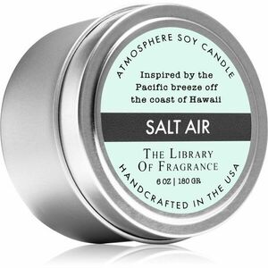 The Library of Fragrance Salt Air illatgyertya 180 g kép