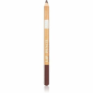 Astra Make-up Pure Beauty Lip Pencil szájkontúrceruza natúr árnyalat 02 Bamboo 1, 1 g kép