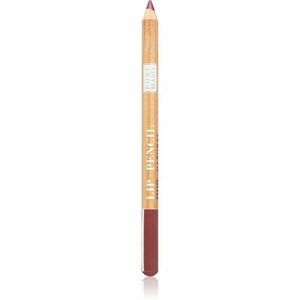 Astra Make-up Pure Beauty Lip Pencil szájkontúrceruza natúr árnyalat 06 Cherry Tree 1, 1 g kép