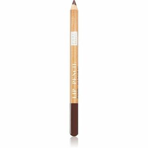 Astra Make-up Pure Beauty Lip Pencil szájkontúrceruza natúr árnyalat 01 Mahogany 1, 1 g kép