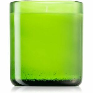 Designers Guild Green Fig Glass illatgyertya 220 g kép