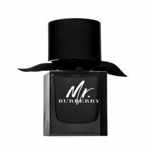Burberry Mr. Burberry Eau de Parfum férfiaknak 50 ml kép