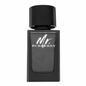 Burberry Mr. Burberry Eau de Parfum férfiaknak 100 ml kép