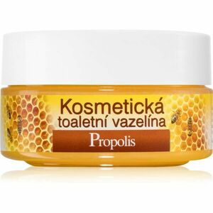 Bione Cosmetics Honey + Q10 kozmetikai vazelin 155 ml kép