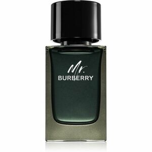 Burberry Mr. Burberry Eau de Parfum uraknak 100 ml kép