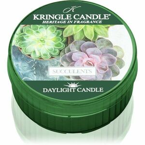 Kringle Candle Succulents teamécses 42 g kép