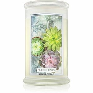 Kringle Candle Succulents illatgyertya 624 g kép