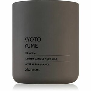 Blomus Fraga Kyoto Yume illatgyertya 290 g kép