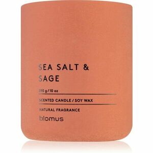 Blomus Fraga Sea Salt & Sag illatgyertya 290 g kép