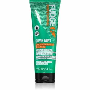 Fudge Clean Mint Shampoo tisztító sampon normál, gyorsan zsírosodó hajra 250 ml kép