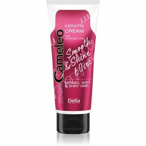 Delia Cosmetics Cameleo Smooth & Shine 60 sec hajkrém a fénylő és selymes hajért 250 ml kép