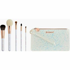 Sigma Beauty Brush Set Holiday Glam Utazó ecsetkészlet táskával kép