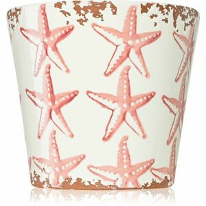 Wax Design Starfish Seabed illatgyertya 14x12, 5 cm kép