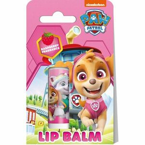 Nickelodeon Paw Patrol Lip Balm ajakbalzsam gyermekeknek Raspberry 4, 4 g kép