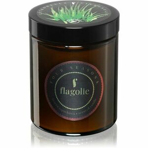 Flagolie Four Seasons Citronella illatgyertya 120 g kép