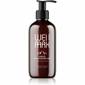WellMax Men's Shower Gel 3in1 fürdőgél férfiaknak 3 az 1-ben 250 ml kép
